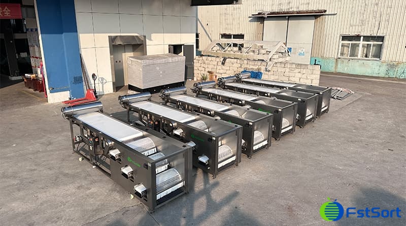 blueberry sorter.jpg blueberry sorter.jpg